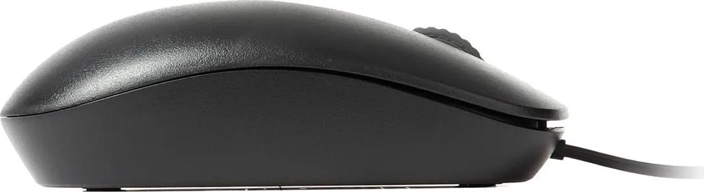 Souris de Bureau USB Optique Rapoo N200 Noire pour Ordinateur Portable PC
