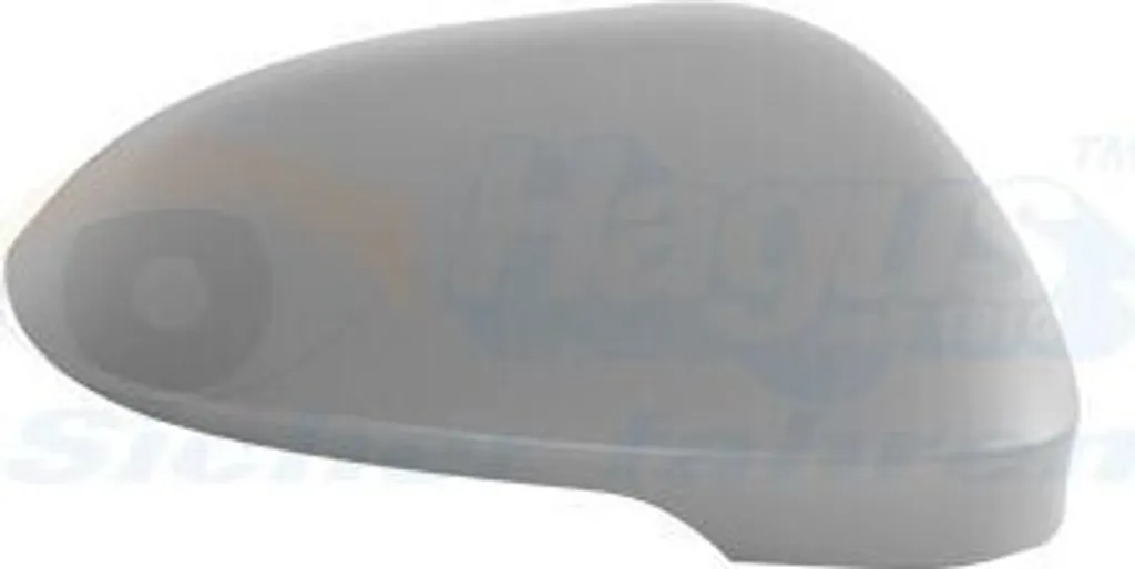Coque de rétroviseur droit VAN WEZEL 5711844 pour VW Golf VIII (CD1)