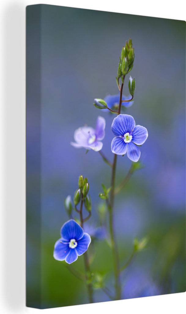 OneMillionCanvasses - Leinwandbilder - 90x140 cm, Lila Blüten des hohen Brunnenkopfs mit unscharfem Hintergrund, Wandbilder Kunstdruck Wanddekor...