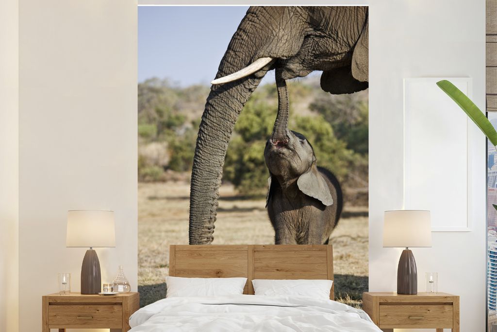 MuchoWow Fototapete für Wohnzimmer oder Schlafzimmer Wandtapete Vinyl Motivtapete Elefantenbaby kommuniziert mit seiner Mutter - 170x260 cm - Wo...