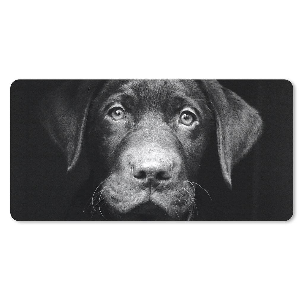 MuchoWow Schreibtischunterlage Nahaufnahme Labrador Welpe vor schwarzem Hintergrund in schwarz und weiß 80x40 cm - XXL Mauspad - Gaming Mauspad
