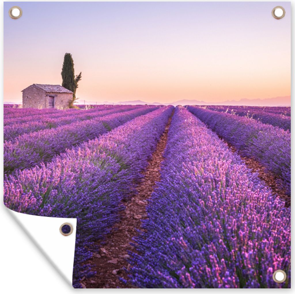 MuchoWow 100x100 cm Outdoor-Poster Gartendeko Sichtschutz Garten Poster für den Garten Lavendel - Sonnenuntergang - Lila - Blumen
