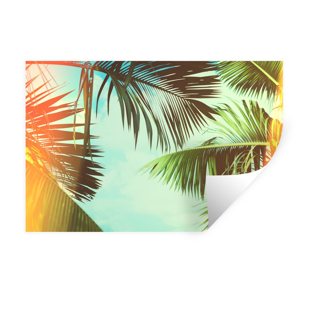 MuchoWow Wandtattoo Wandsticker Wandaufkleber Palmen - Himmel - Sonne 30x20 cm Selbstklebend und Repositionierbar - Wierderverwendbar - Selbstkle...