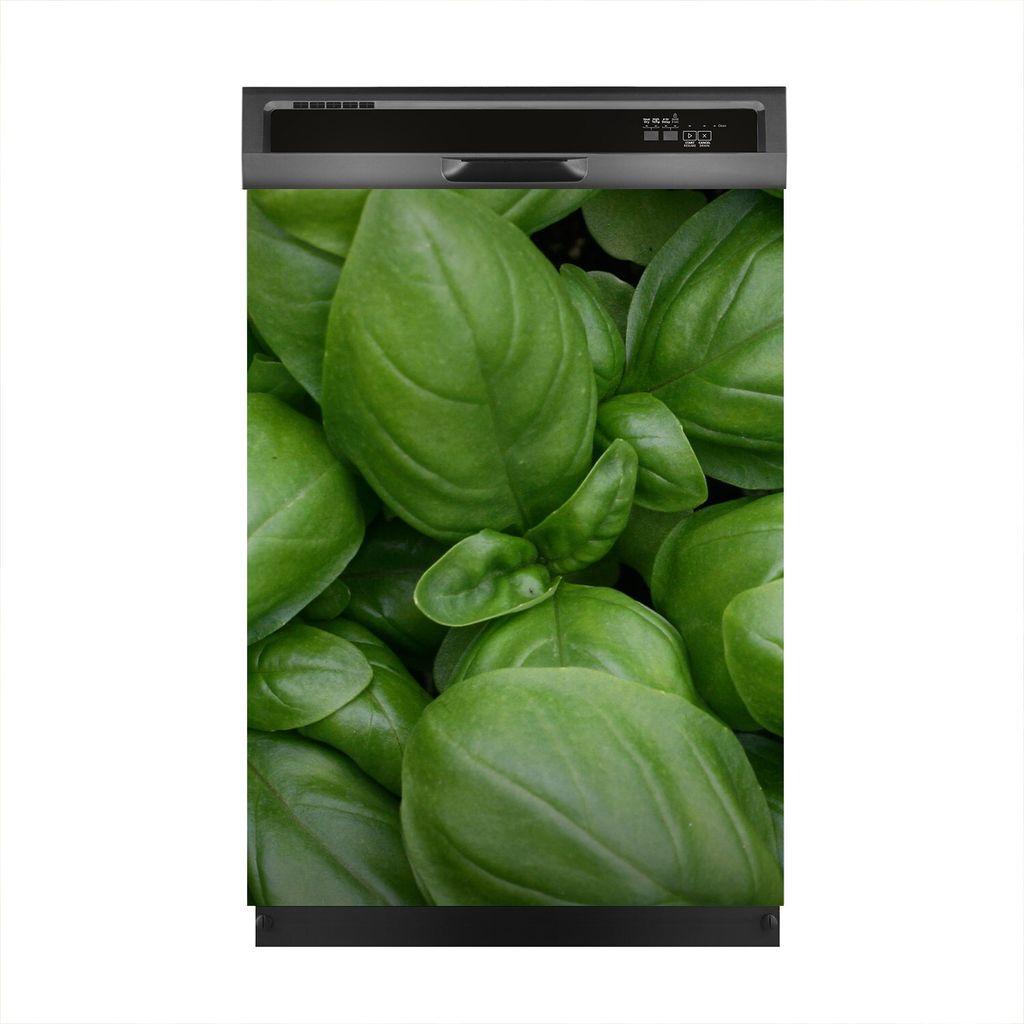 Magnete Dekorative 60x80 cm Küche Magnetmatte Spülmaschine - Blätter frischem Basilikum