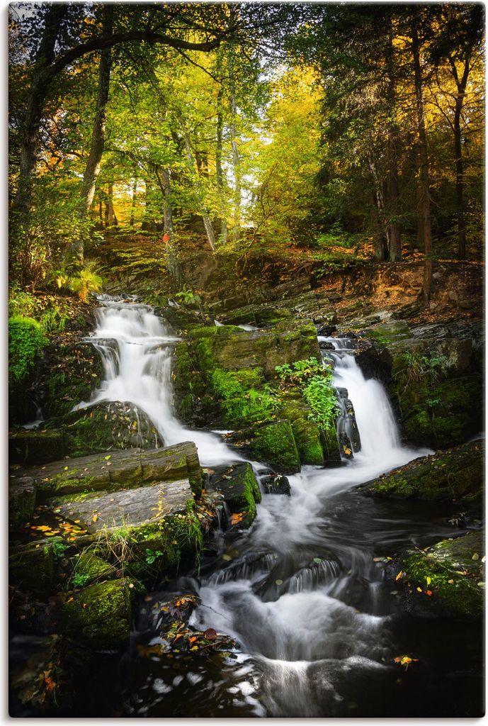 ARTland Leinwandbild Selkefall im Harz Größe: 20x30 cm