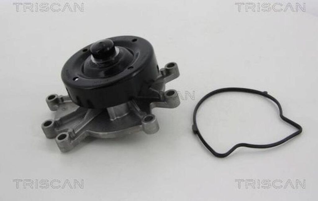 TRISCAN Wasserpumpe 8600 80015