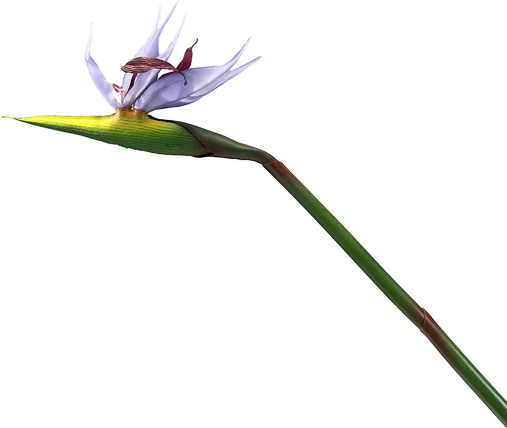 Künstliche Blume, lebensechter Paradiesvogel, realistisch, lichtecht und pflegeleicht, Heimdekoration