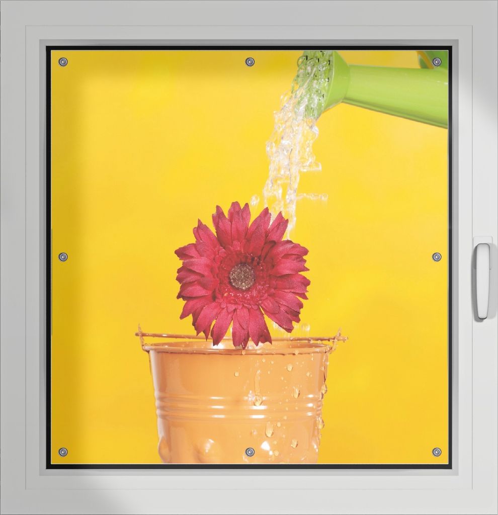 Wallario Lichtschutzbild, Dekorativer Sichtschutz Sonnenschutz 96 x 93 cm mit Motiv: Rote Blüte im Blumentopf - frisch begossen - Verdunklung ohne...
