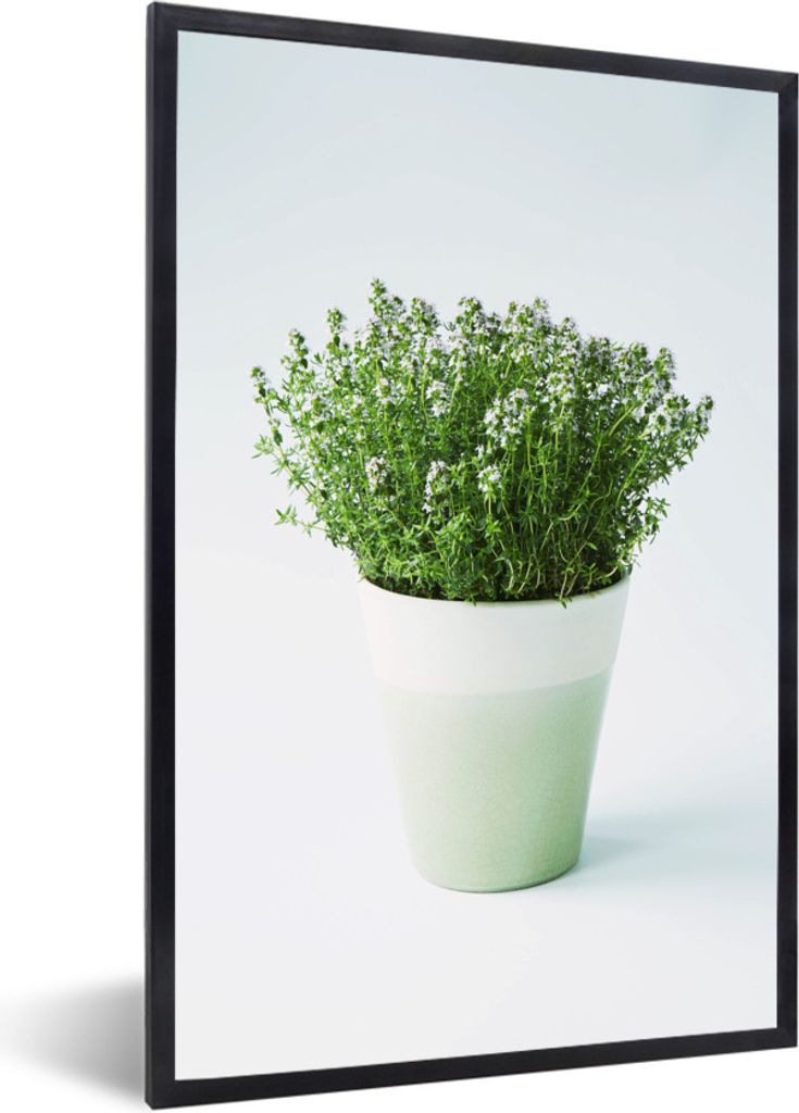 MuchoWow Gerahmtes Poster Minimalistischer Topf mit grünem Thymian 20x30 cm - Poster mit Schwarzem Bilderrahmen Wandposter Rahmen Foto Bilder - ...