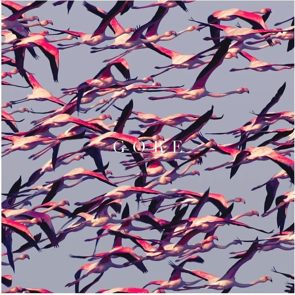 Deftones Gore Double Vinyle Blanc 2 LP Edition Limitée pour Collectionneur