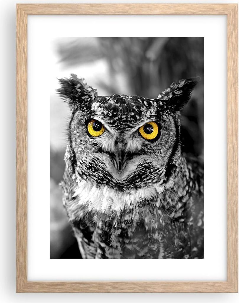 Gerahmtes Poster - Rahmen in heller Eiche - Eule Vogel Natur - 30x40 cm - Wand Bild - Wanddeko - Wandbilder - Kunstposter - Wandposter - Bilderrahm...