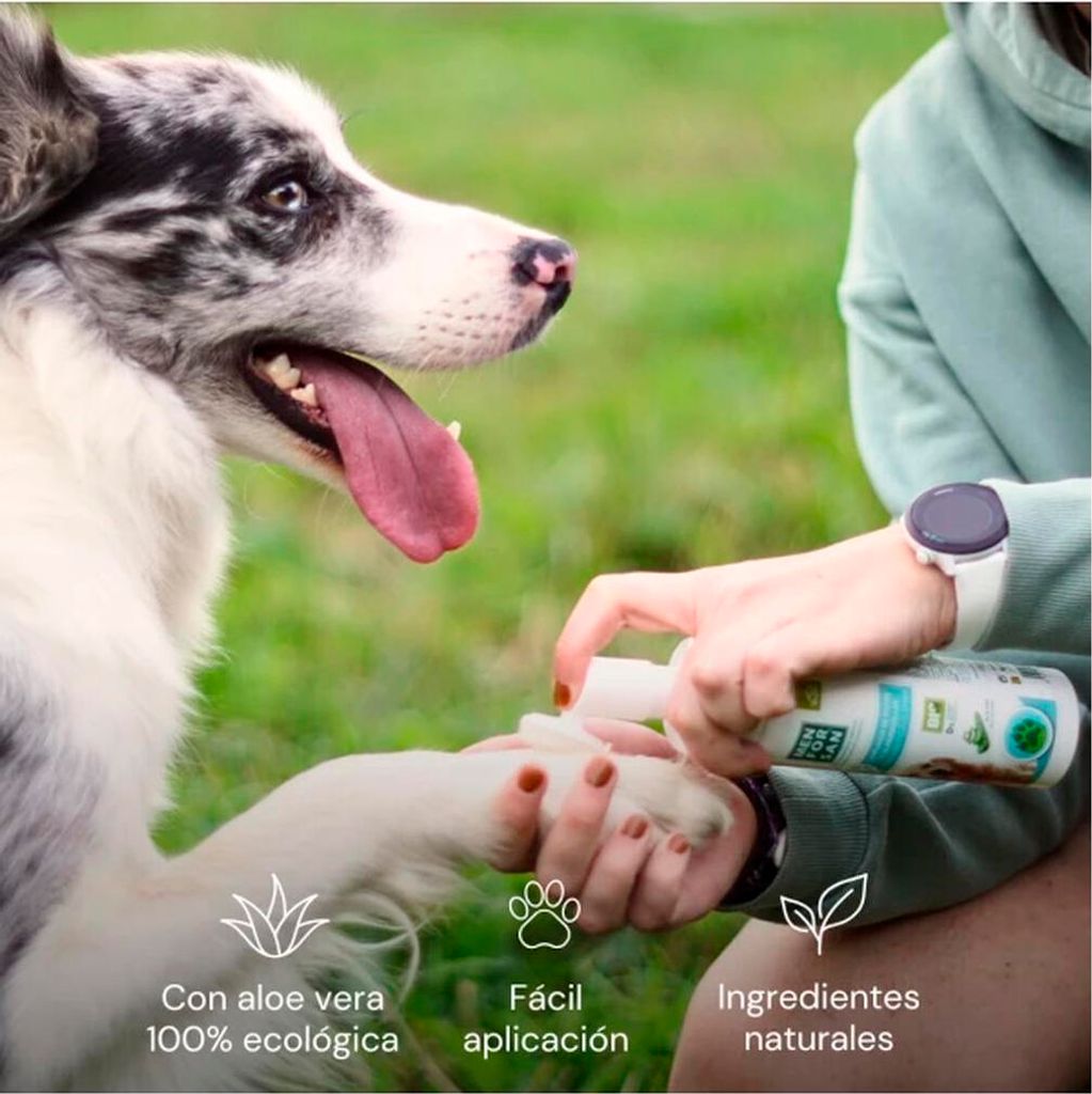 Klingen für Rasierer Menforsan