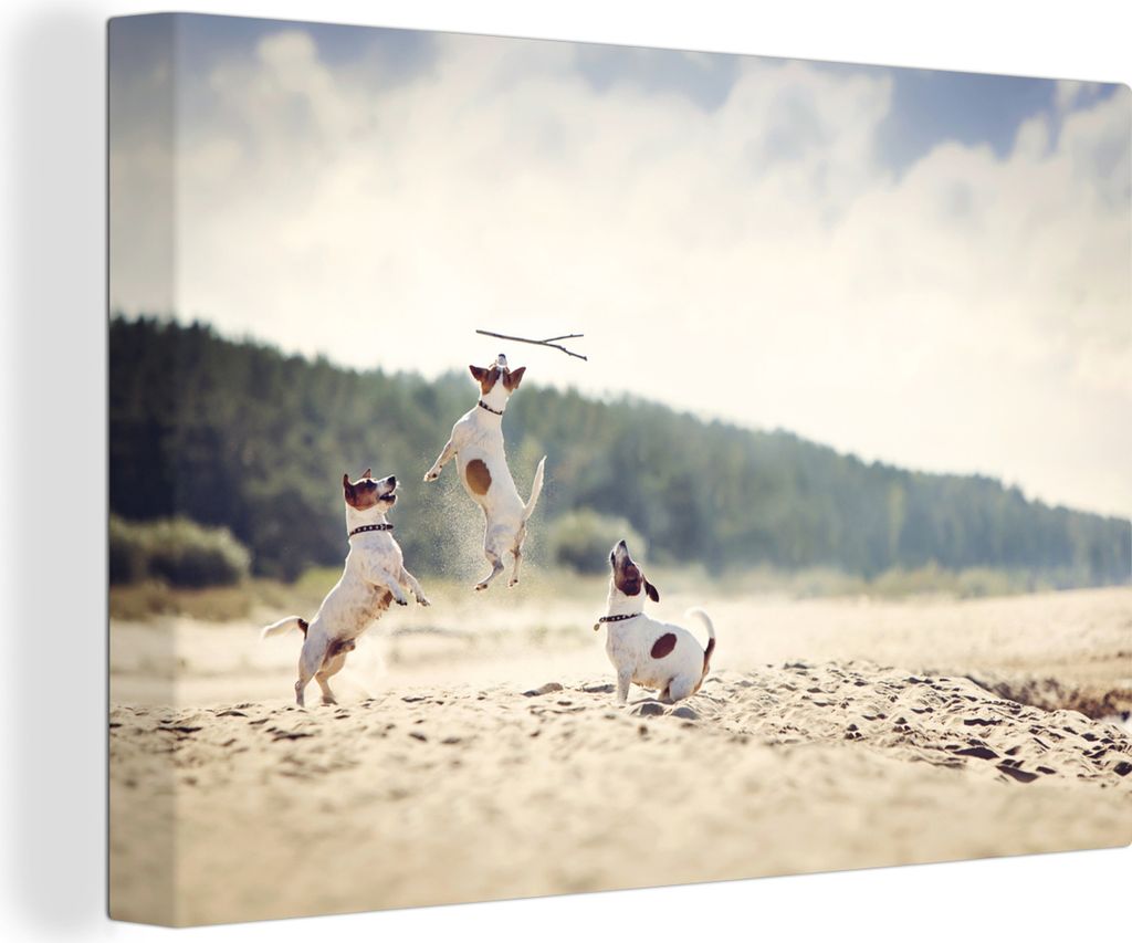 OneMillionCanvasses - Leinwandbilder - 150x100 cm, Hund - Zweig - Sand, Wandbilder Kunstdruck Wanddekoration