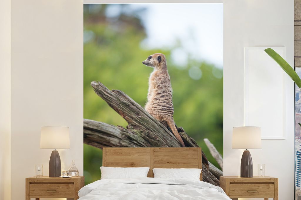 MuchoWow Fototapete für Wohnzimmer oder Schlafzimmer Wandtapete Vinyl Motivtapete Erdmännchen - Ast - Baum - 200x300 cm - Wanddekorationen