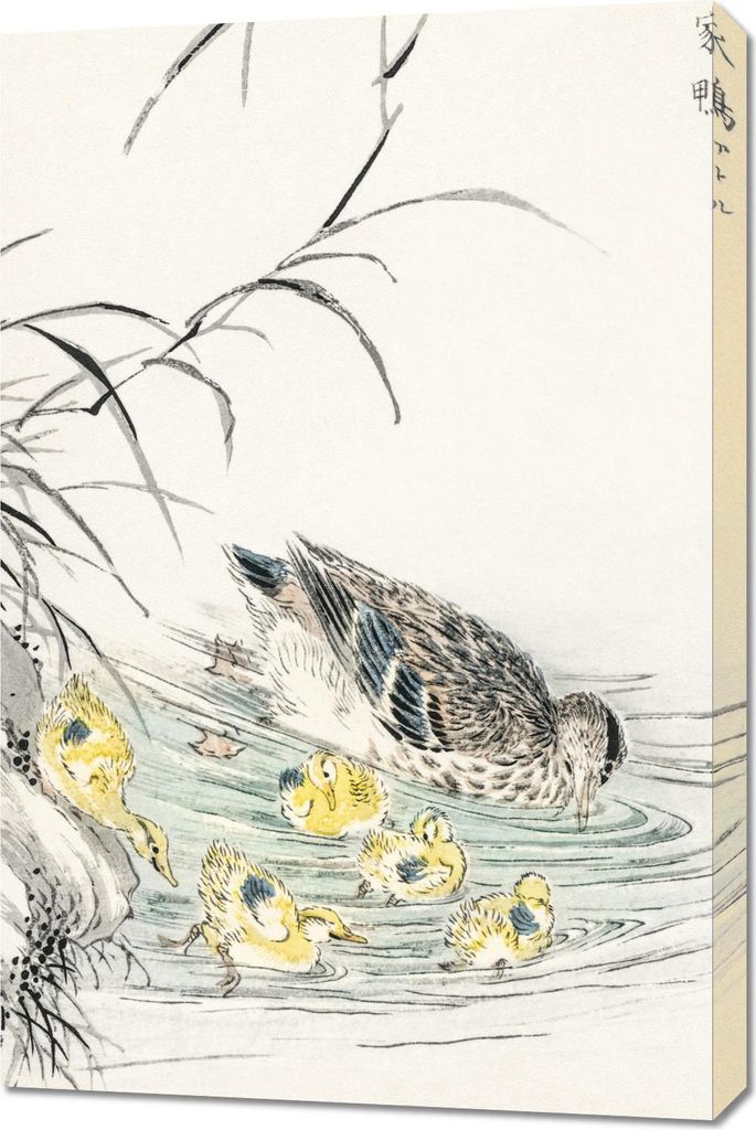 Bild 60x90cm Duck, Vintage Japanischer Kashu für das Wohnzimmer