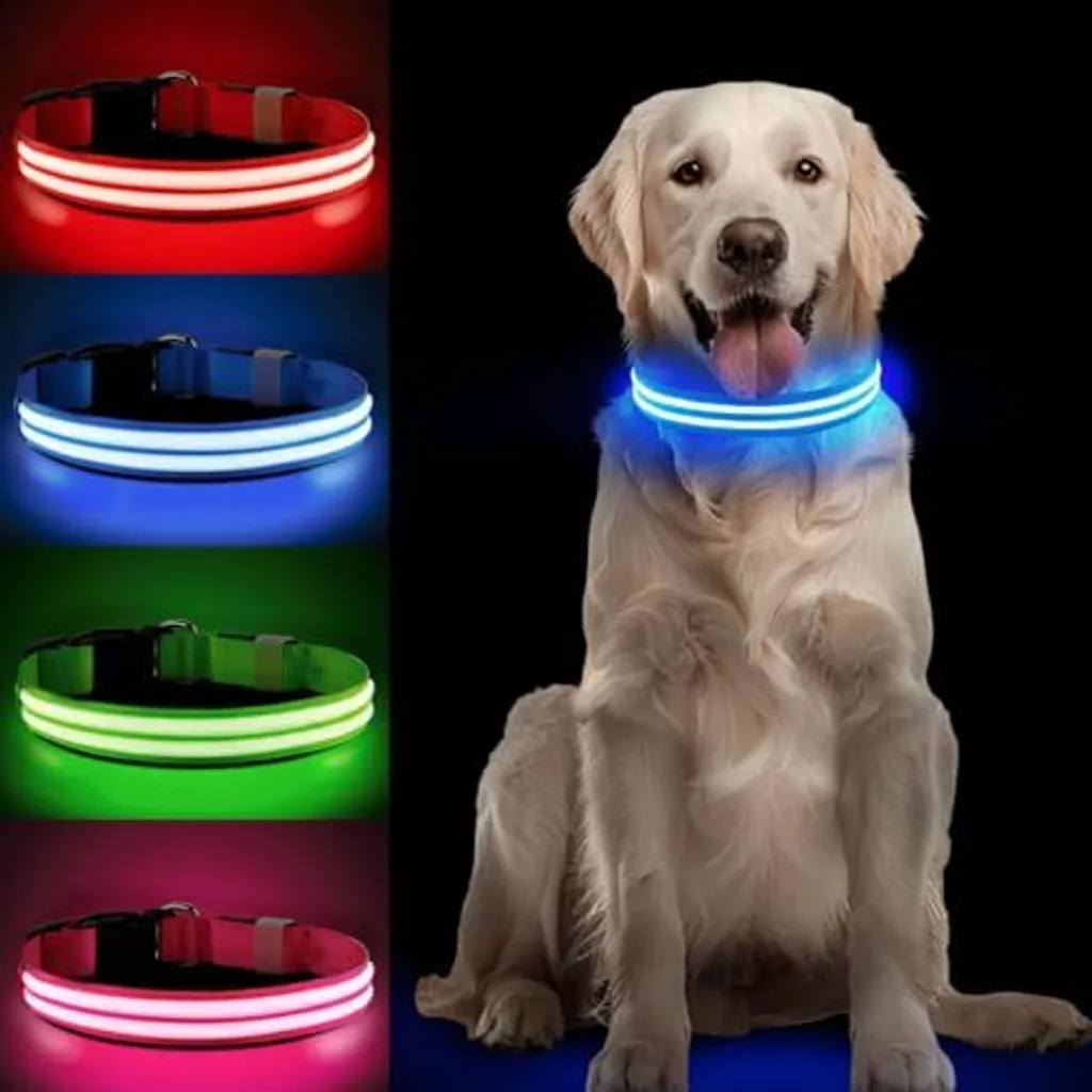 PcEoTllar LED Leggenda Blu M - Collare Alta Visibilità Impermeabile