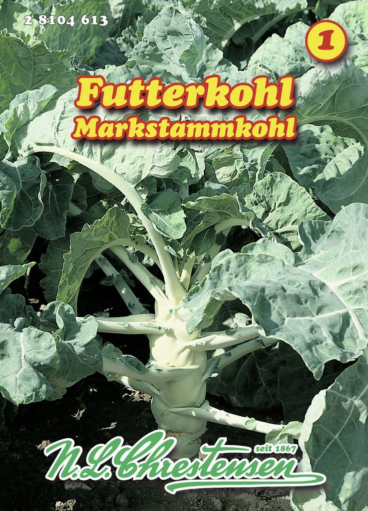Markstammkohl | Kohlsamen von N.L. Chrestensen
