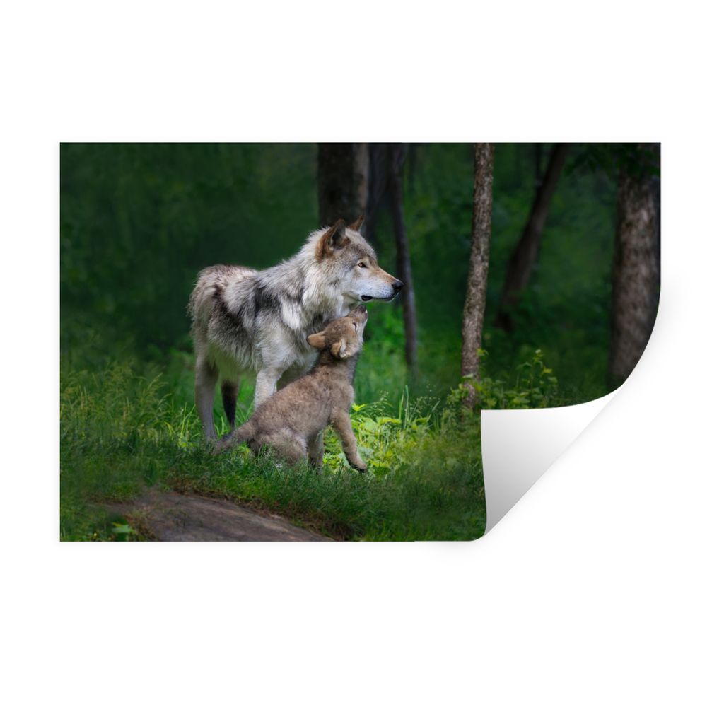 MuchoWow Wandtattoo Wandsticker Wandaufkleber Wolf - Baby - Wald 30x20 cm Selbstklebend und Repositionierbar - Wierderverwendbar - Selbstklebend