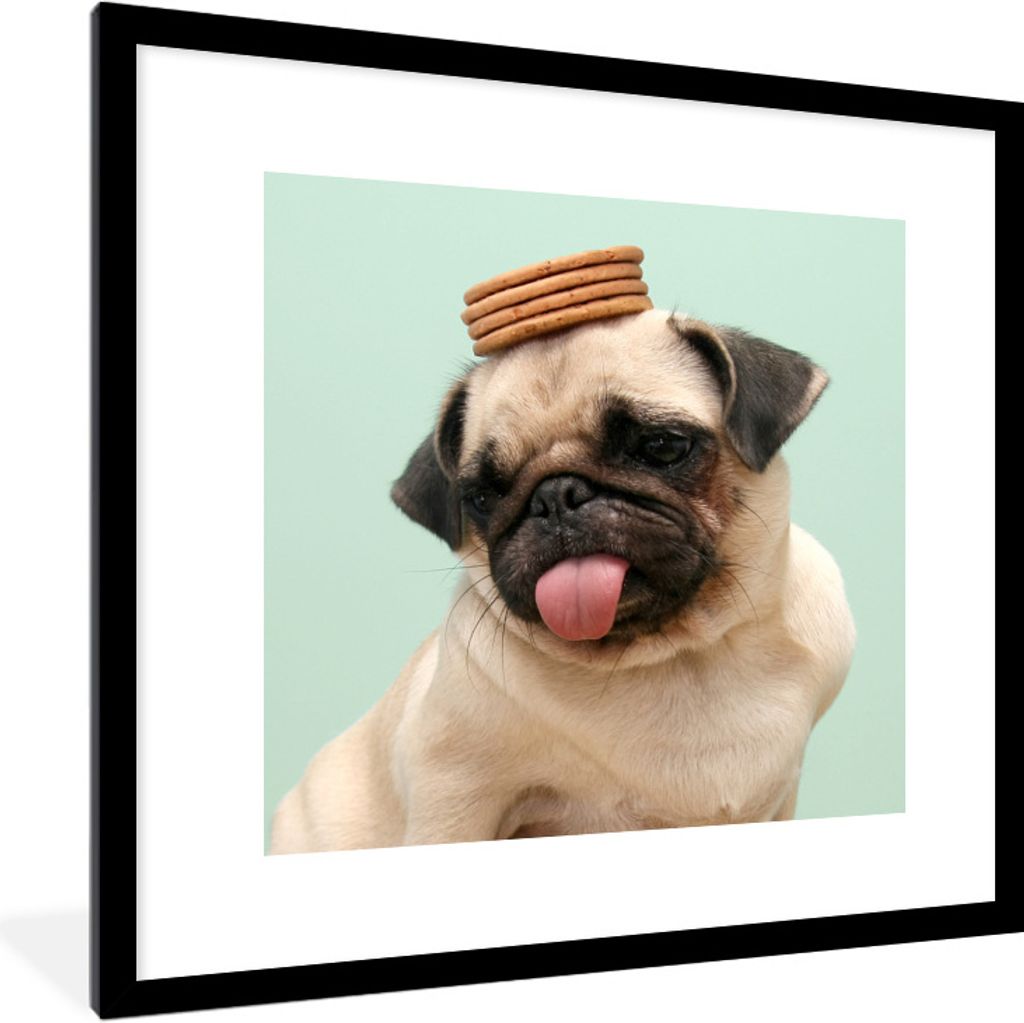 MuchoWow Gerahmtes Poster Hund - Lustig - Kekse - Kinder - Jungen - Mädchen - Kinder 40x40 cm - Poster mit Schwarzem Bilderrahmen Wandposter Rah...