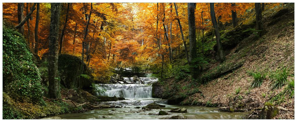 Wallario Premium Glasbild, freischwebende Optik, kräftige Farben, Größe 125 x 50 cm Motiv Kleiner Bach über Steine im Herbstwald