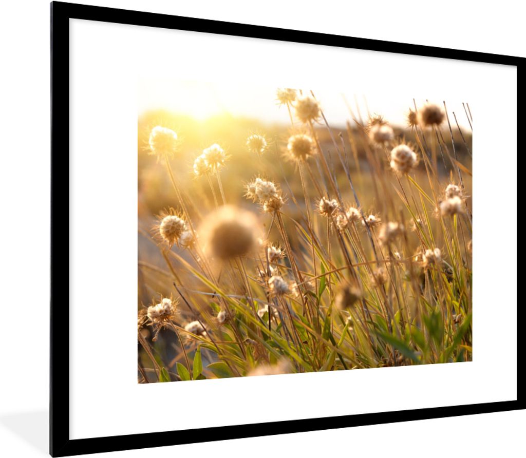 MuchoWow® Gerahmtes Poster Pflanzen - Natur - Blumen - Produktbild 