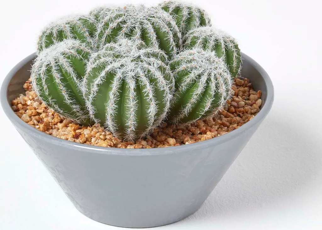 Plante Artificielle Cactus en Coupe Grise pour Décoration Intérieure 17cm