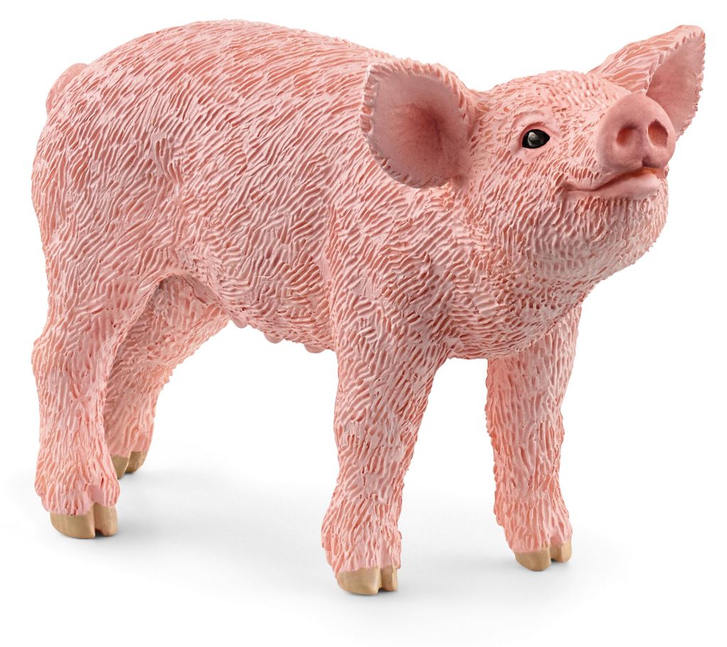 Schleich WIP 13934 in Multicolored color size Talla unica Immagine del prodotto 
