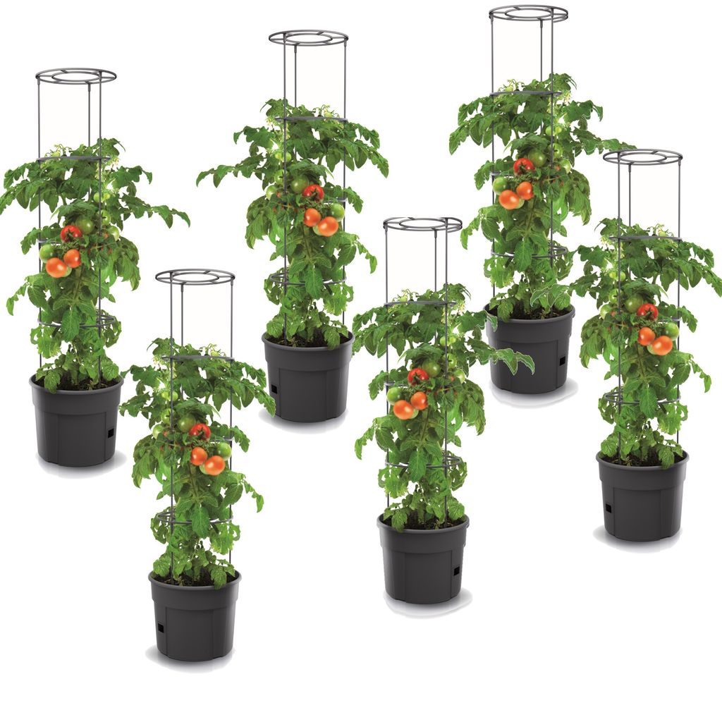 6x Tomatenpflanze aus Kunststoff Set 6 Stk Pflanzkübel 28 Produktbild 