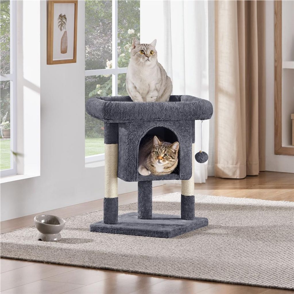 Two cats on a cat tree in a room with windows and curtains.