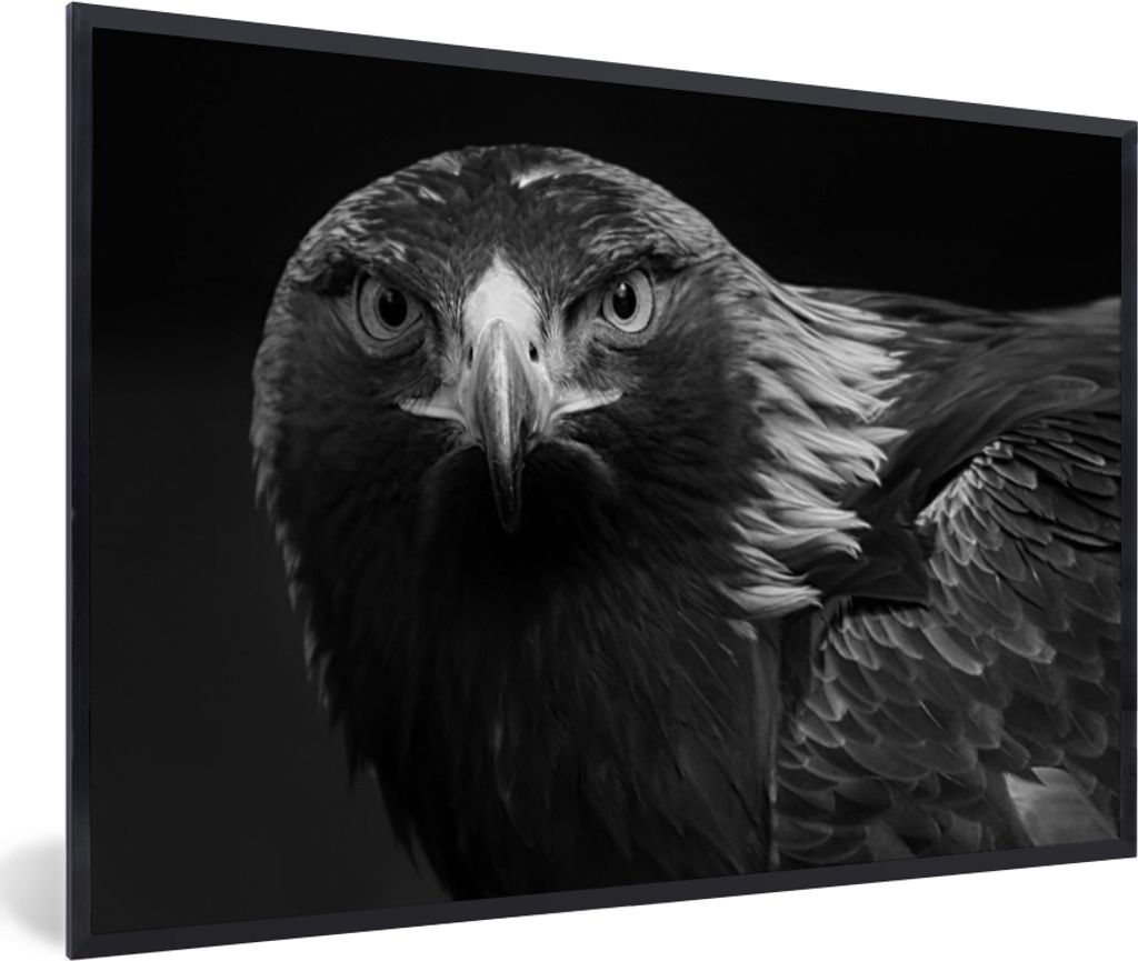 MuchoWow Gerahmtes Poster Bussard - Vogel - Tiere - Schwarz - Weiß 30x20 cm - Poster mit Schwarzem Bilderrahmen Wandposter Rahmen Foto Bilder - ...