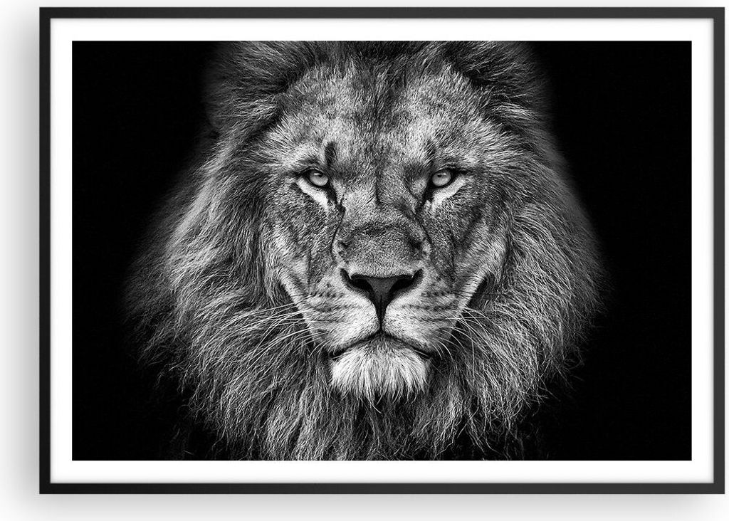 Gerahmtes Poster - Schwarzer Rahmen - Porträt Löwe Schwarzweiß - 100x70 cm - Wand Bild - Wanddeko - Wandbilder - Kunstposter - Wandposter - Bild...