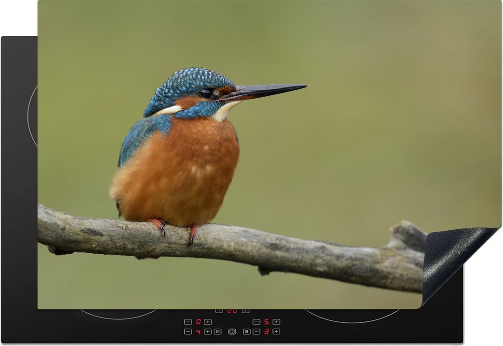 KitchenYeah Herdabdeckplatte Eisvogel - Orange - Zweige , 77x51cm, Küche Deko, Glaskeramikkochfeld Herdabdeckung, Abdeckplatte fùr Kochfeld