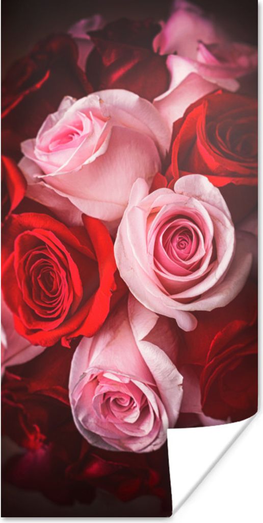 MuchoWow Poster Nahaufnahme eines Straußes aus rosa und roten Rosen 60x120 cm - Wandschmuck