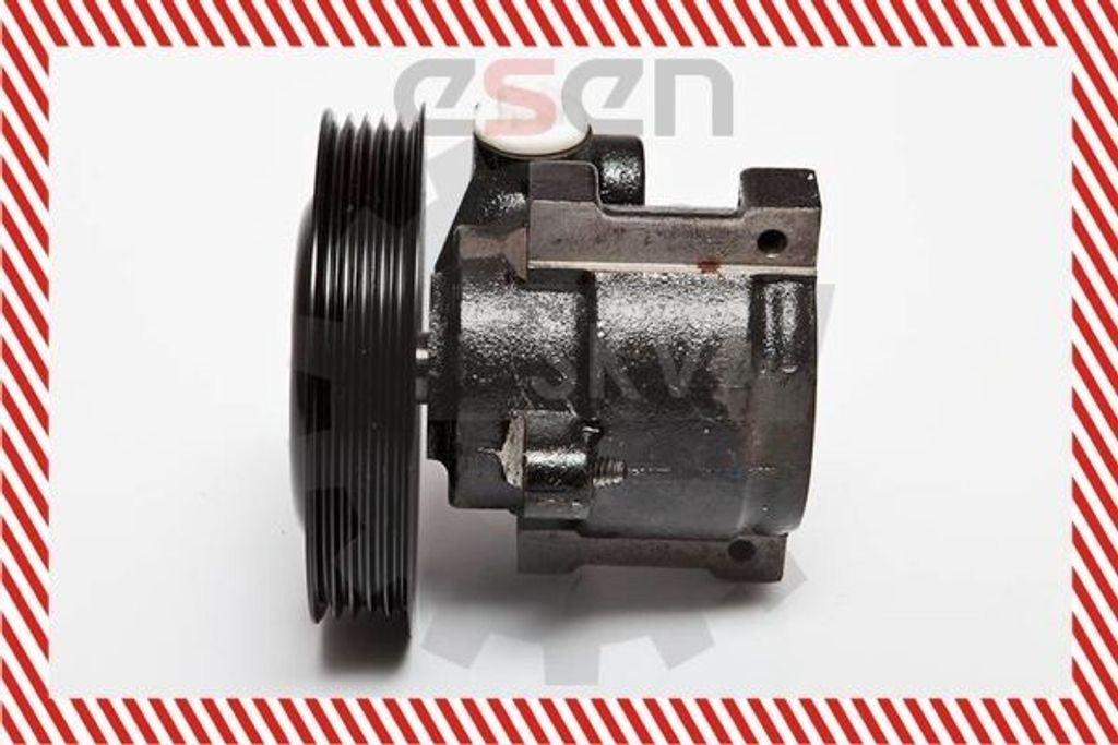ESEN SKV 10SKV065 Servolenkung Pumpe Servopumpe für FORD Fiesta Mk4 Schrägheck (JAS, JBS) Hydraulisch