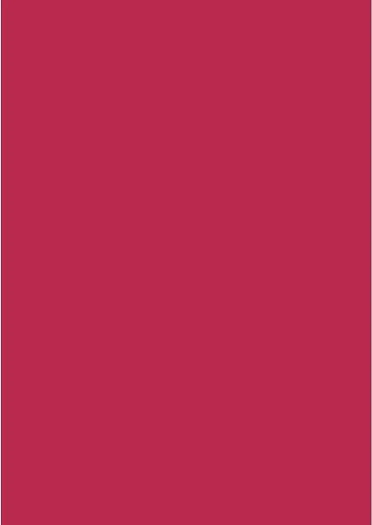 Brunnen 105122524 Carta Universale A4 160g Rosso Medio - 25 Fogli
