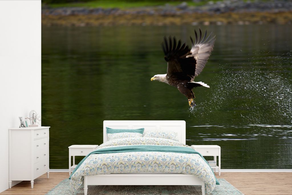 MuchoWow Fototapete für Wohnzimmer oder Schlafzimmer Wandtapete Vinyl Motivtapete Ein europäischer Seeadler fliegt aus dem Wasser - 450x300 cm ...