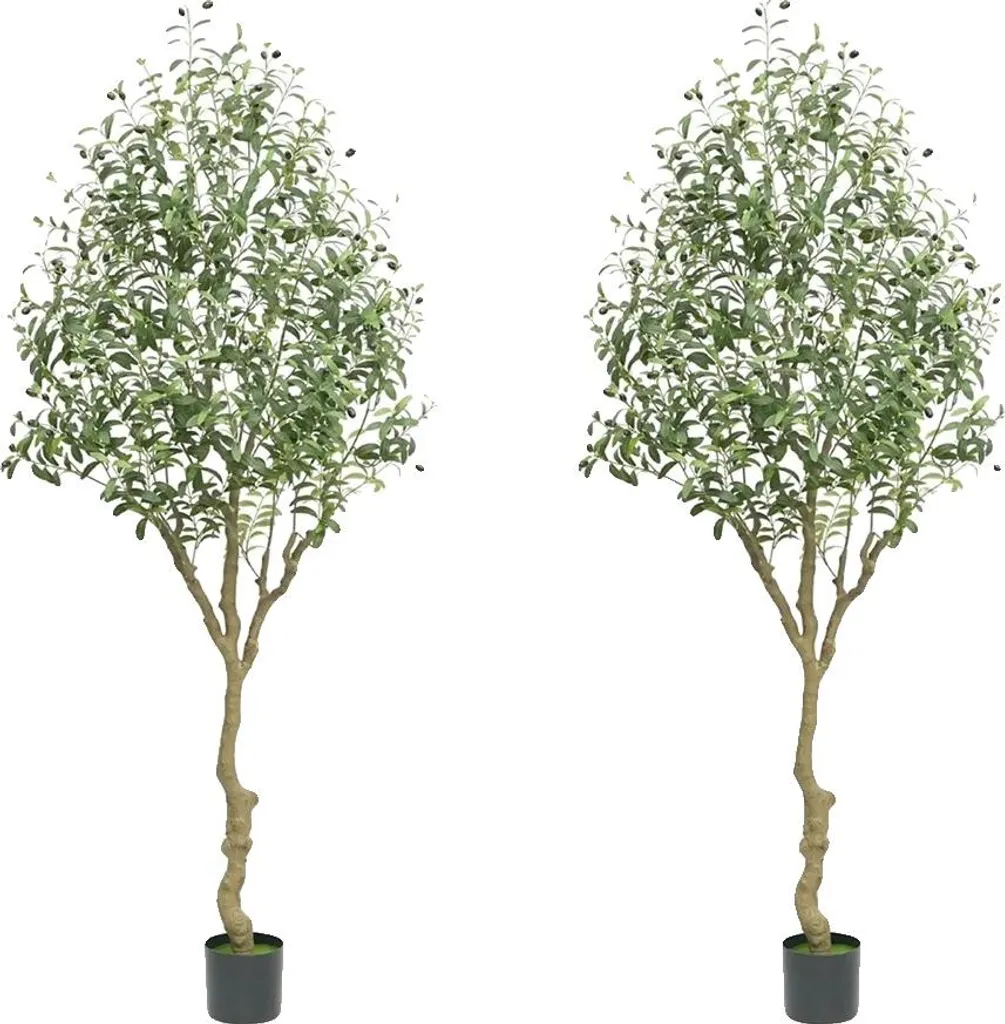 Paire d'oliviers artificiels 210 cm pour déco salon et terrasse couverte