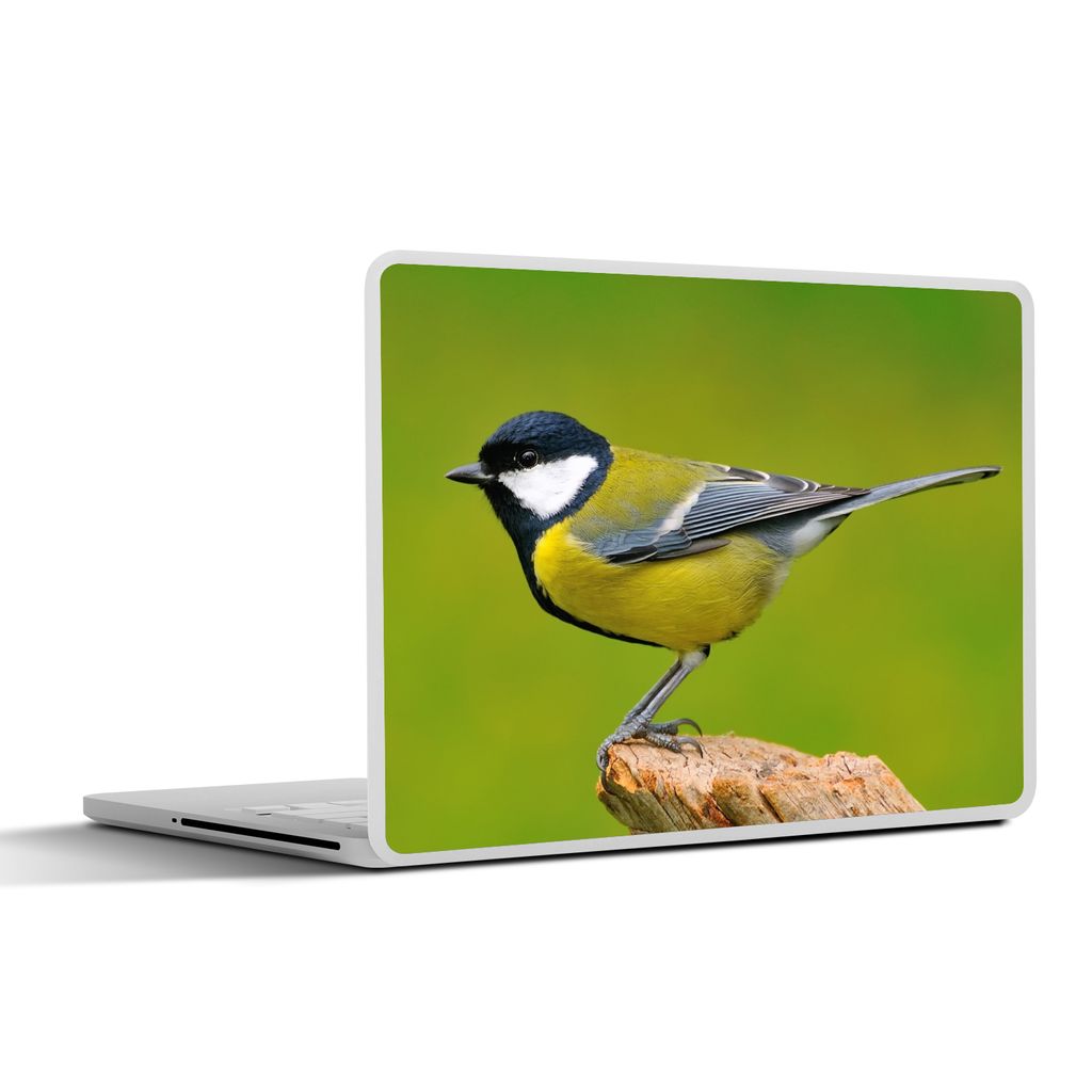 MuchoWow Laptop Aufkleber Sticker Cover Vogel - Kohlmeise - Tiere - Grün 25x18 cm - Laptop-Deko