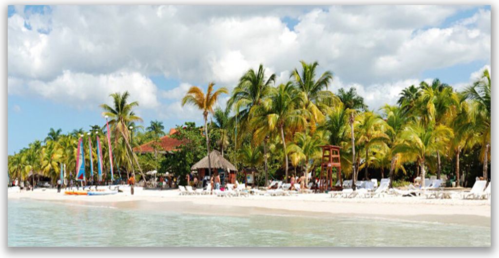 Glasbilder 140x70 Wandbild Druck auf Glas Strand Palmen Landschaft