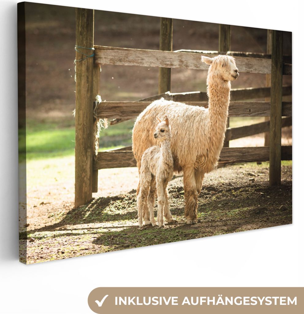 OneMillionCanvasses - Leinwandbilder - 140x90 cm, Alpaka - Baby - Mutti, Wandbilder Kunstdruck Wanddekoration - Foto auf Leinwand - Gemälde auf ...