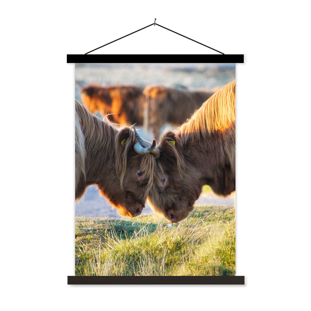 MuchoWow Textilposter Schottische Highlander - Tiere - Sonne 90x120 cm mit schwarzem Rahmen - Dekoration