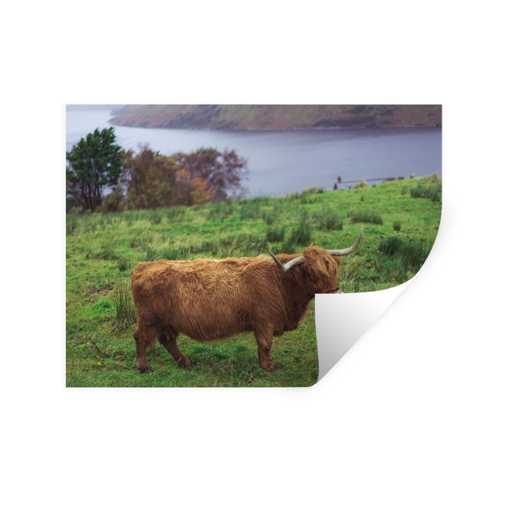 MuchoWow Wandtattoo Wandsticker Wandaufkleber Schottische Highlander - Gras - Wasser - Tiere 160x120 cm Selbstklebend und Repositionierbar - Selb...