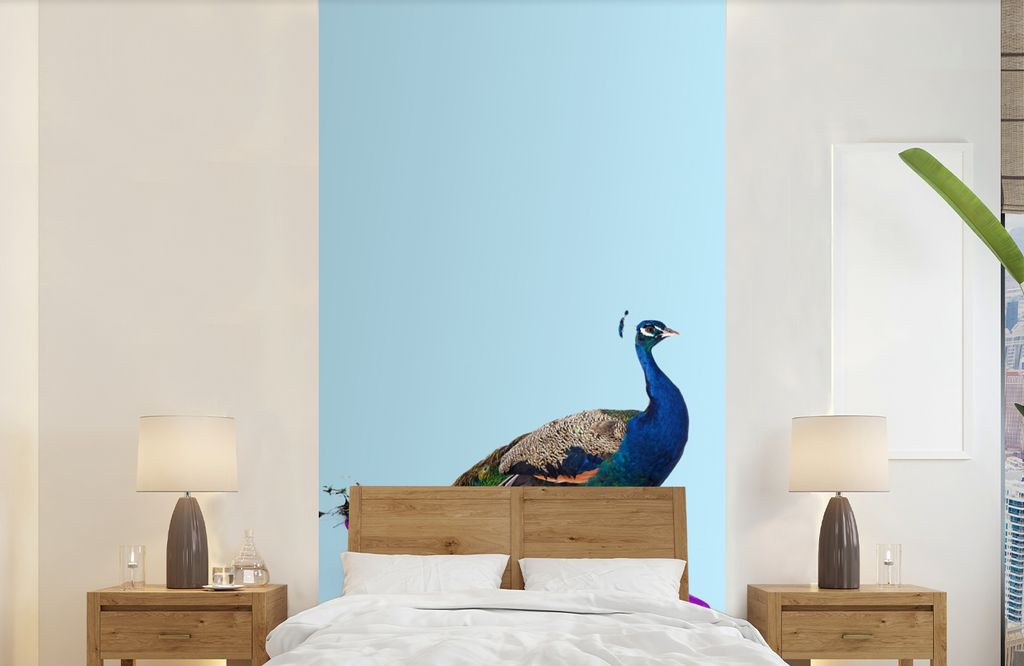 MuchoWow Fototapete für Wohnzimmer oder Schlafzimmer Wandtapete Vinyl Motivtapete Pfau - Blau - Skateboard - Tiere - Lustig - 120x240 cm - Hinte...