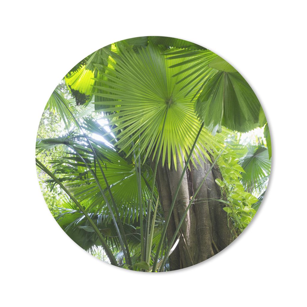 MuchoWow Mauspad Mousepad Tropischer Regenwald 30x30 cm - Mousepads - Maus Mat - Pad - Mausunterlage - Tischunterlage - Schreibtischmatten