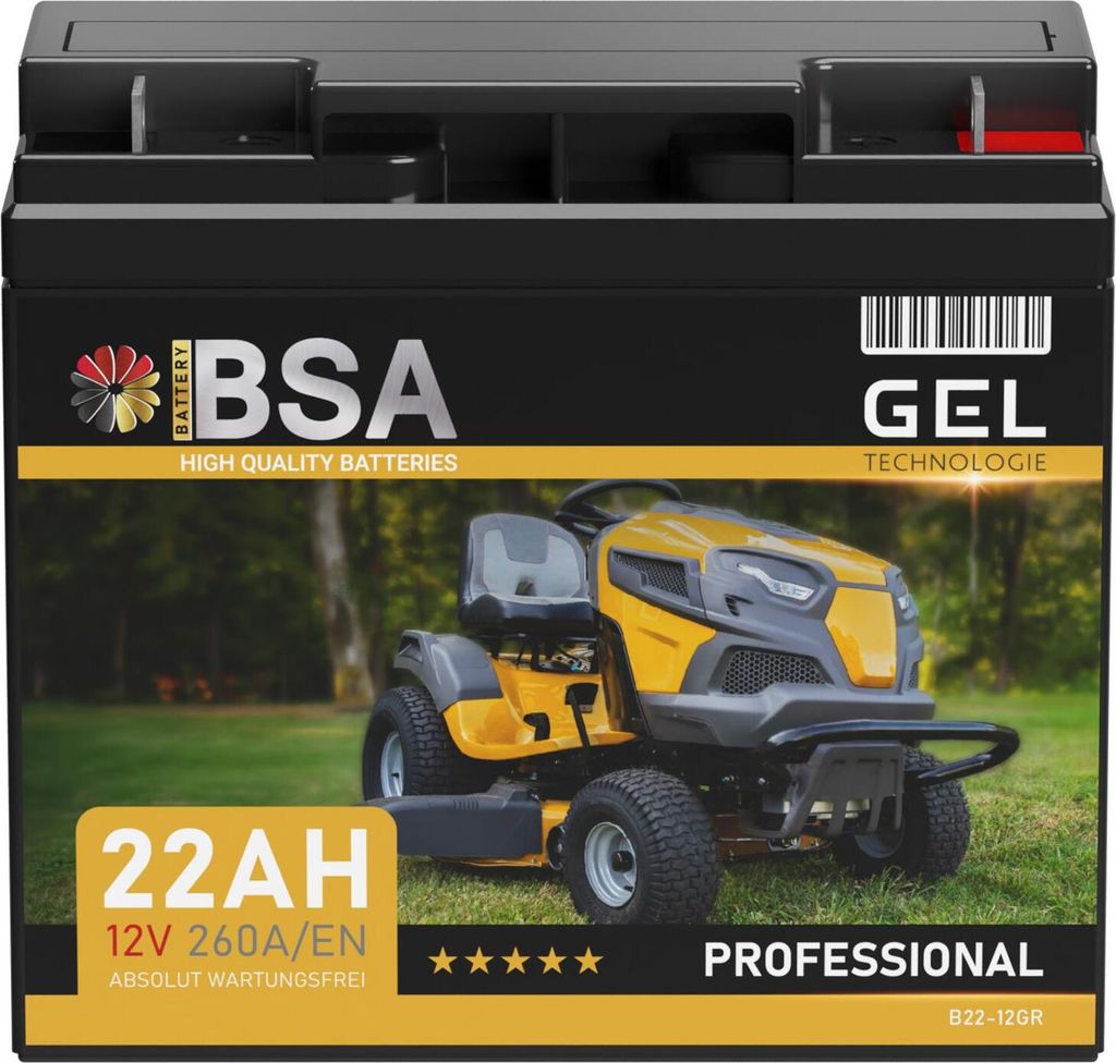 BSA Gel Rasentraktor Batterie 22Ah 12V