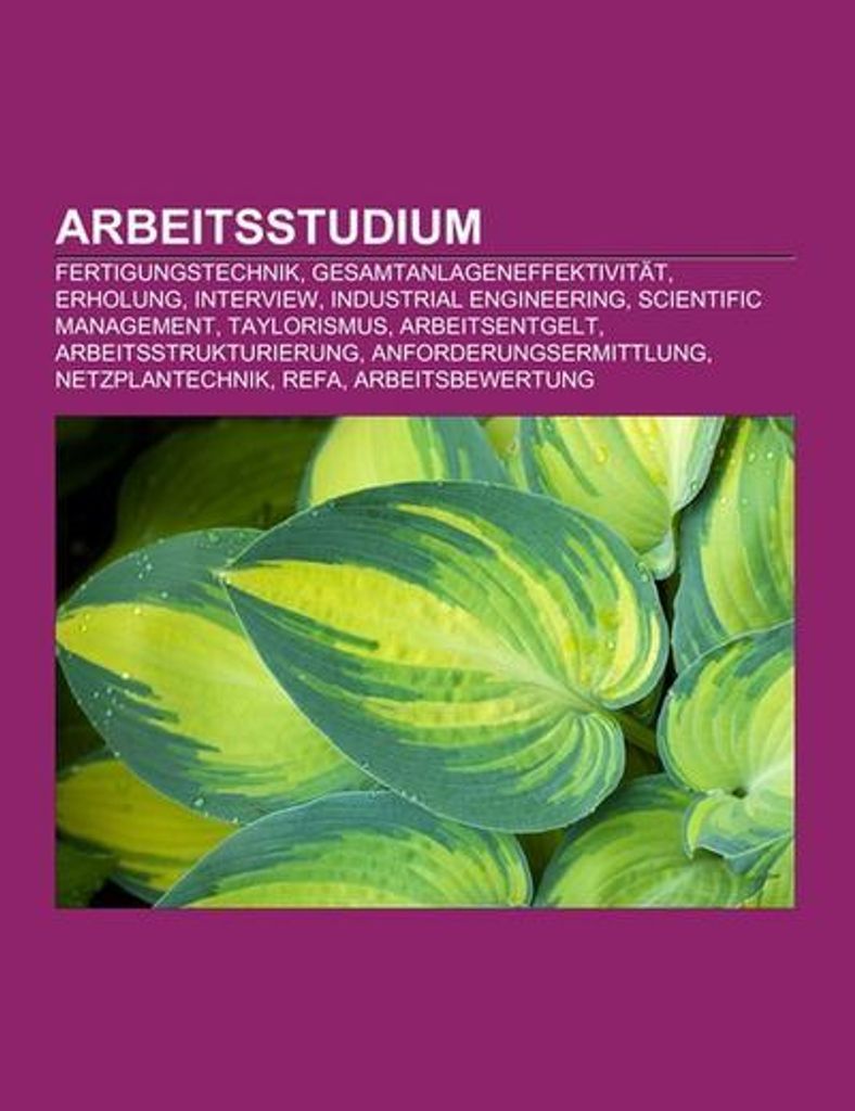 Arbeitsstudium