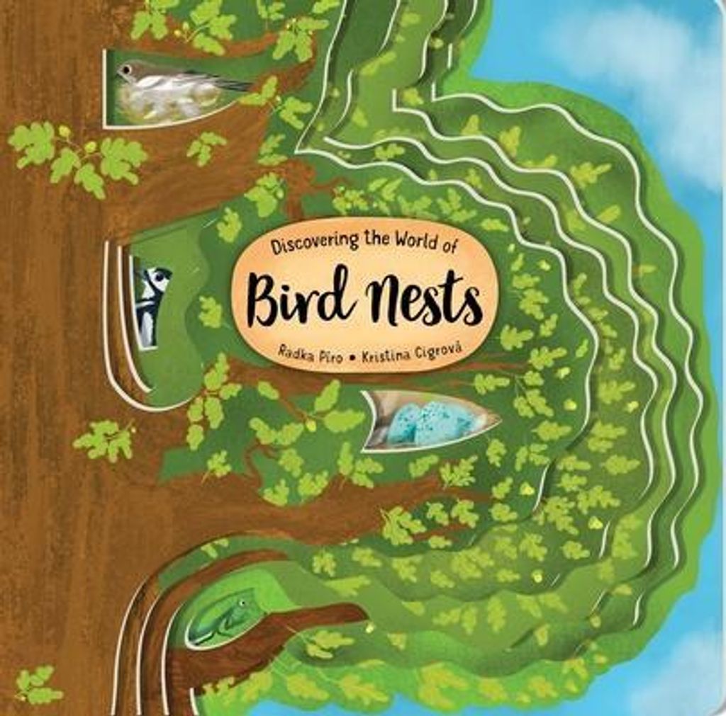 Discovering The World Of Bird Nests – Lingua: Inglese