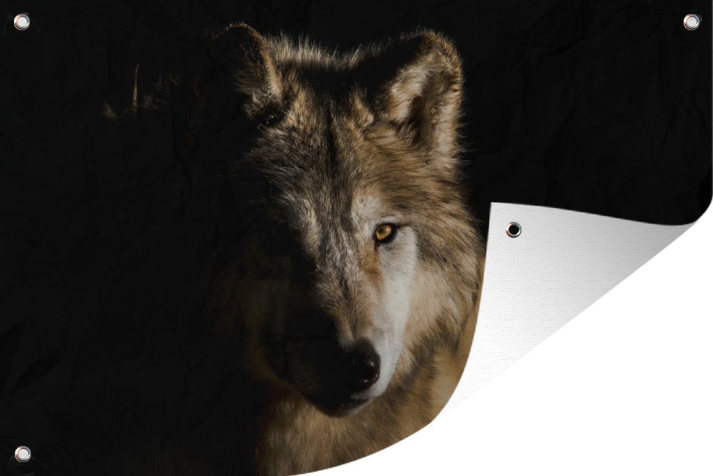 MuchoWow 90x60 cm Outdoor-Poster Gartendeko Sichtschutz Garten Poster für den Garten Polarwolf