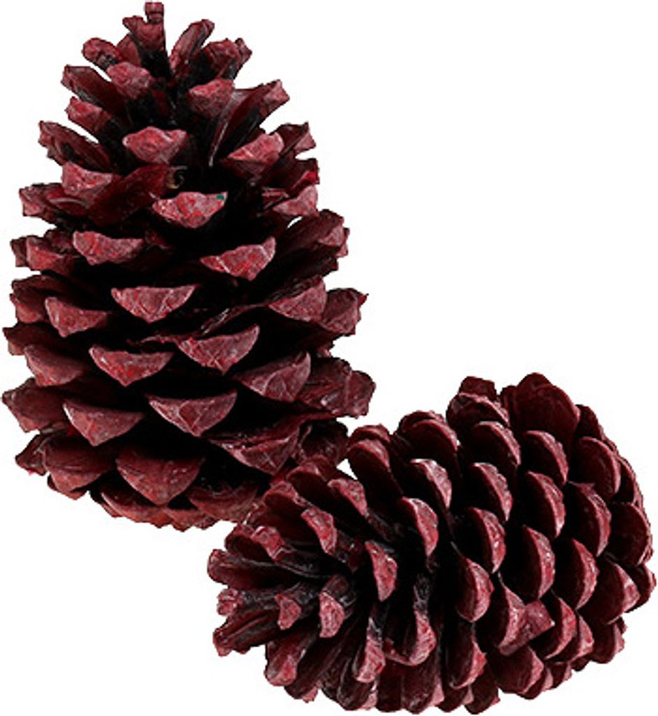 Maritima Zapfen Rot gefrostet 10-15cm - Deko, Basteln, Weihnachten, 12 Stk, 12 Stück