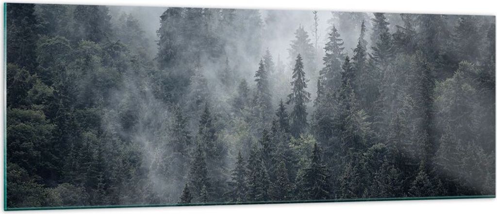 Bilder auf glas - Wald Baum Natur - 140x50cm - Glasbilder - Wandbilder - Kunstdruck - zum Aufhängen bereit - Wanddekoration aus Glas - Glas Bilder...